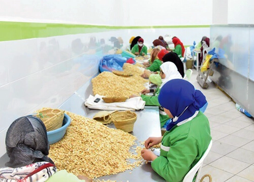 Moroccan cosmetic factory production line